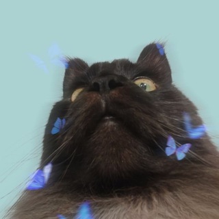 Telegram profile photo for Мурсье Кубрентий