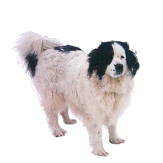 Telegram profile photo for Jenny Friedheim - Archiv