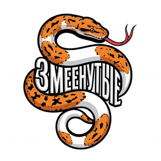 Telegram profile photo for SNAKEd