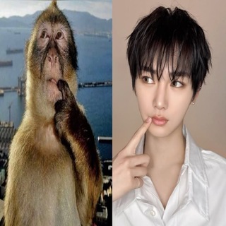 Telegram profile photo for Xintory archive
