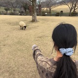 Telegram profile photo for Seo Seotang