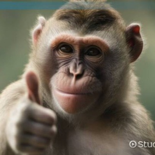 Telegram profile photo for සුධර්මාරාමේ රිලවා