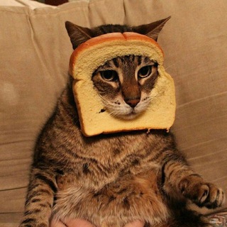 Telegram profile photo for Мемы и КоТэ