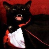 Telegram profile photo for union