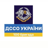 Telegram profile photo for ДССО - 100 БРИГАДА