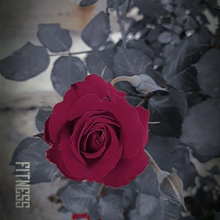 Telegram profile photo for مݛاسۧۛيݪٰ ﹺحمودي 🍒🥀