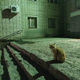 Telegram profile photo for «°Шепоты-Мирфистионы°»