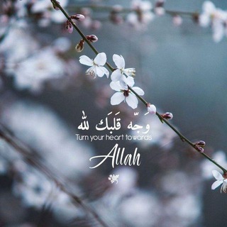Telegram profile photo for قَدْ أَفْلَحَ مَن زَكَّاهَا 🤍