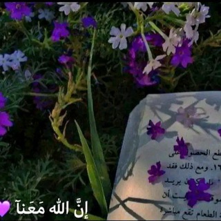 Telegram profile photo for ذَآت آثرٍ 🐾🌸