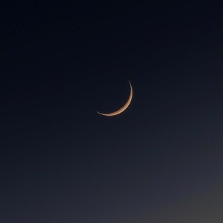 Telegram profile photo for صوت الشرق
