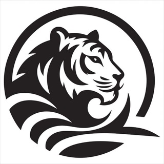 Telegram profile photo for Тигр | info