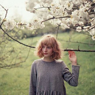 Telegram profile photo for Lovers of Literature <3