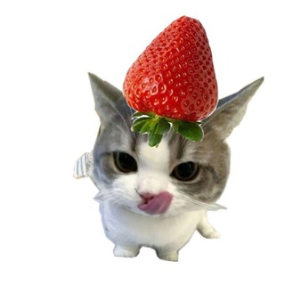 Telegram profile photo for Strawberry🍓:)