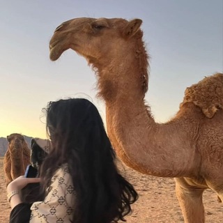Telegram profile photo for مِرقاب