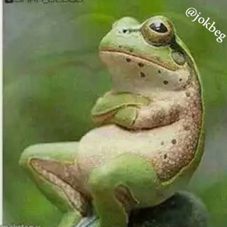 Telegram profile photo for جوک بگو