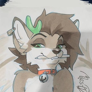 Telegram profile photo for Fox.s_Box