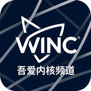 Telegram profile photo for 吾爱内核破解频道(三角洲/无畏契约/和平精英/PUBG王者CFM使命失控进化)