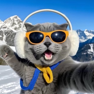 Telegram profile photo for 辉少的朋友圈‼️