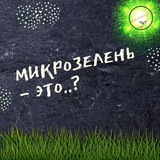 Telegram profile photo for Зелёный дракон