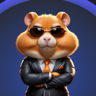 Telegram profile photo for Daily Kombo | Pocket Rocket Combo | MemeFi Video Code Answers