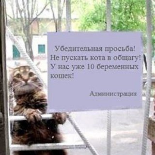 Telegram group profile photo for DELETED - Мы переехали на @laravelrus