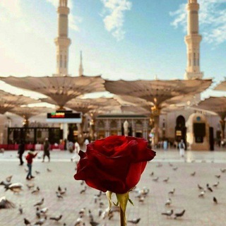 Telegram profile photo for سَبيلُ الإستِقامَة 🐾🐚