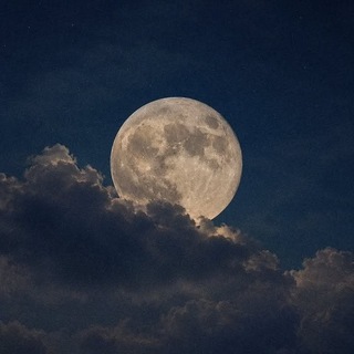 Telegram profile photo for (НАБОР В АДМИН)○𝑴𝒐𝒐𝒏_𝒔𝒕𝒖𝒅𝒊𝒐○