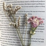 Telegram profile photo for ♡. daily hush: where small things feel sacred 🪷