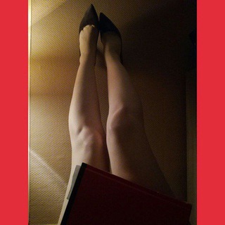 Telegram profile photo for Cryptoheels