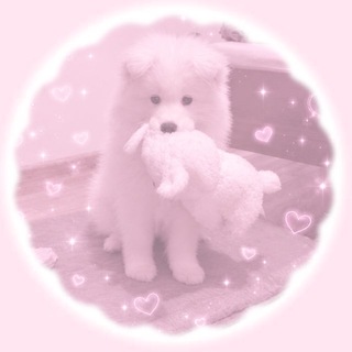 Telegram profile photo for เฃช ห๊ชฑ๐ึนแบ๐ห เฃช