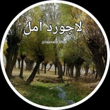 Telegram profile photo for لاجورد آمل