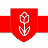 Telegram profile photo for BYNL - помощь релокантам 🇵🇱🇺🇦🇱🇹