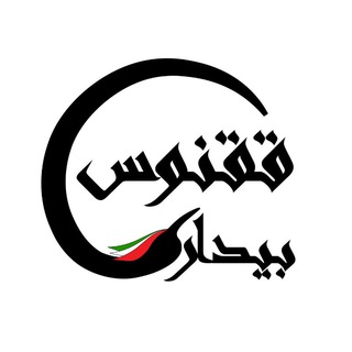Telegram profile photo for بیداری ققنوس
