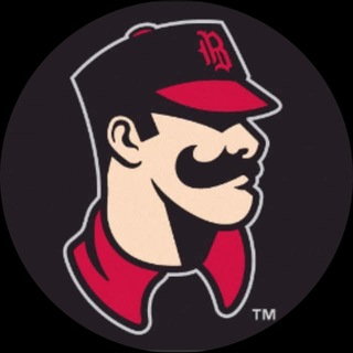 Telegram profile photo for Baron Scripts