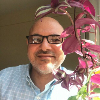 Telegram profile photo for کانال رسمی دکتر محمد ابراهیم ساعدى رودى
