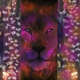 Telegram profile photo for Patriot Party Mathew 6:9-13 Not the political copycat