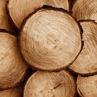 Telegram profile photo for Wood_in_action