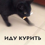 Telegram profile photo for Пристанище Укропа