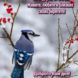 Telegram profile photo for Ссылки на телегранам каналы