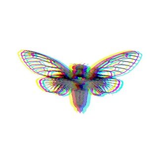 Telegram profile photo for Cicada