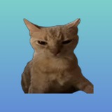 Telegram profile photo for Макс Еремеев | ИИ-низация