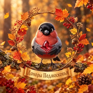 Telegram profile photo for Доноры Подмосковья