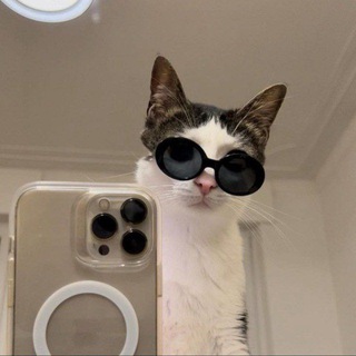 Telegram profile photo for $GRAM degen