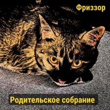 Telegram profile photo for Фриззор. #рЕп_Полиция
