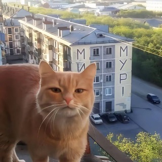 Telegram profile photo for искуплене
