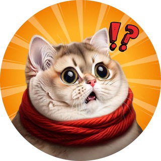 Telegram profile photo for catscoin channel