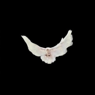 Telegram profile photo for YEWS | KanYe West News