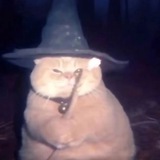 Telegram profile photo for Жирный Тони