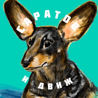 Telegram profile photo for Саратов и движ