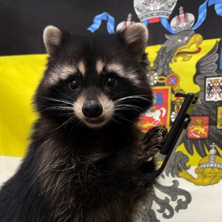Telegram profile photo for Густав Верович